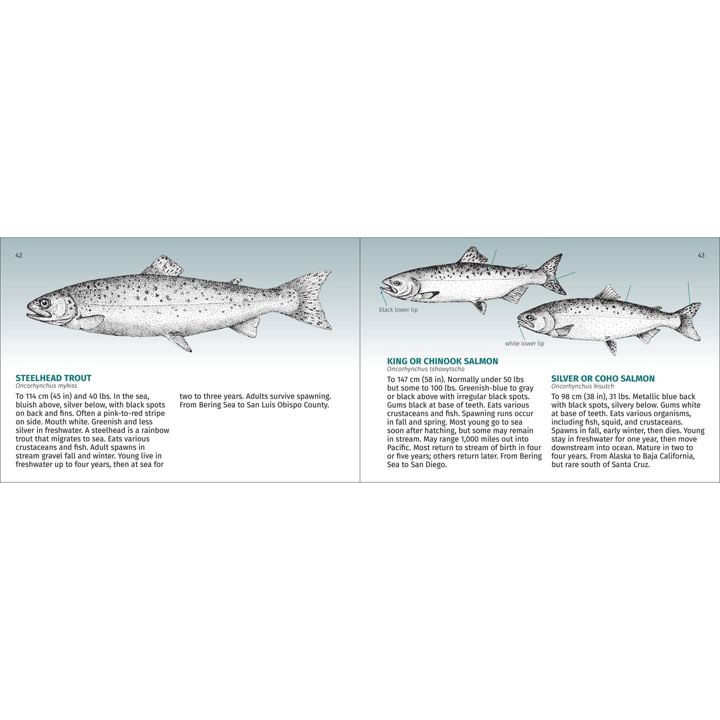 Pacific Coast Fish Finder