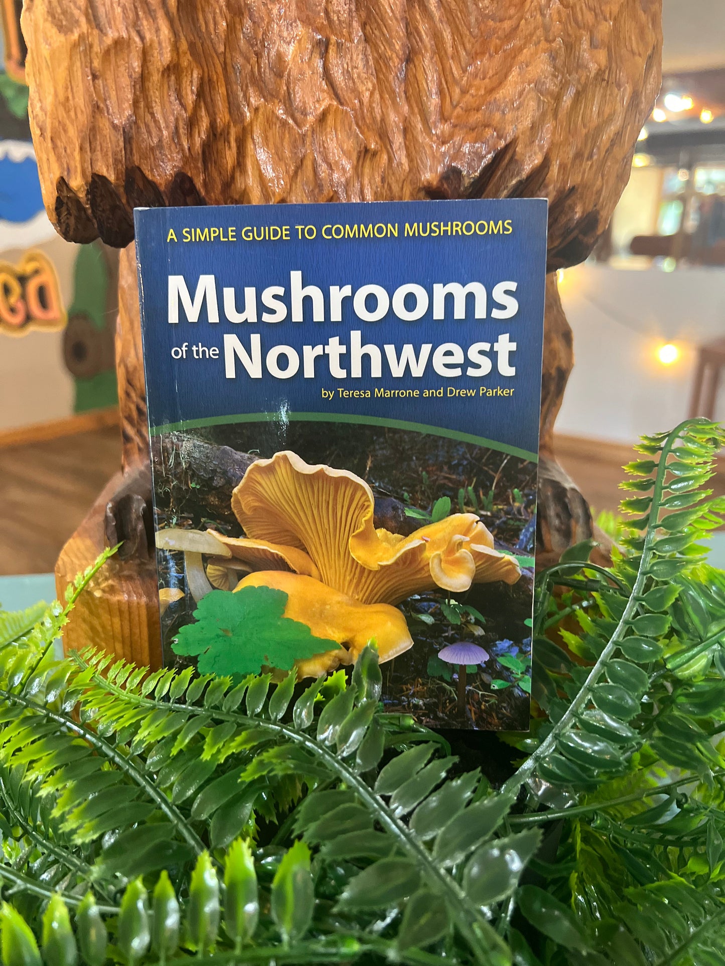 Mushrooms of the Northwest
