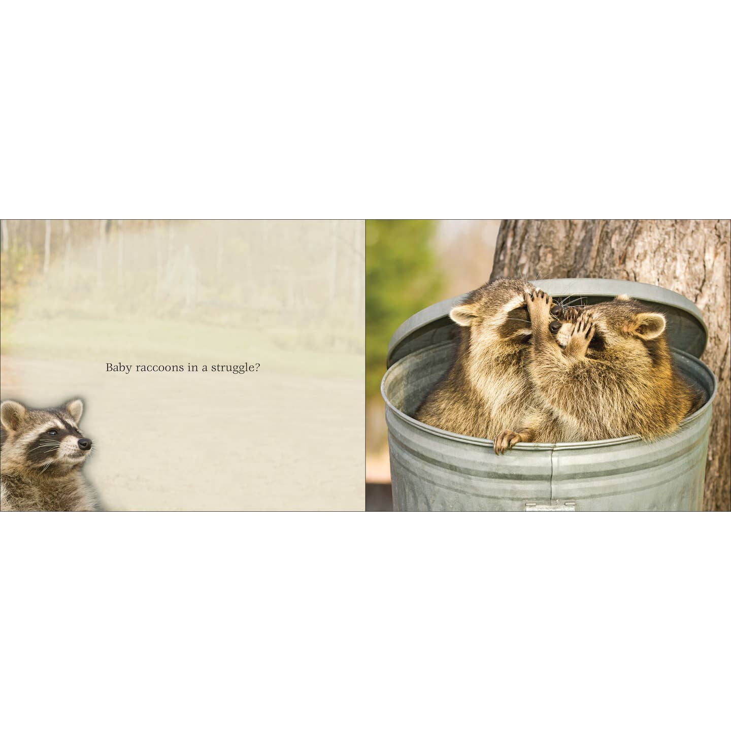 Cutest Critter Children's Book