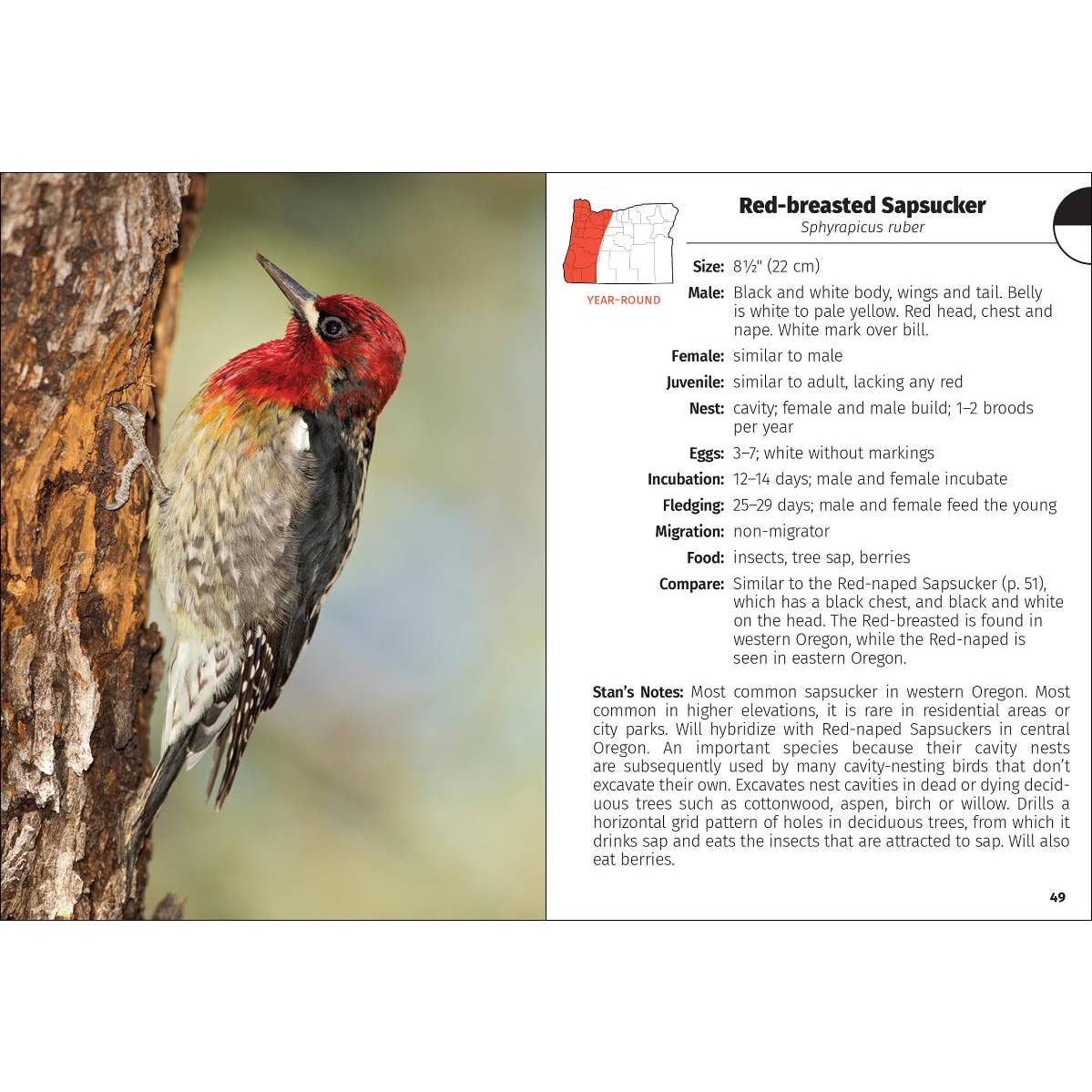 Birds of Oregon Field Guide