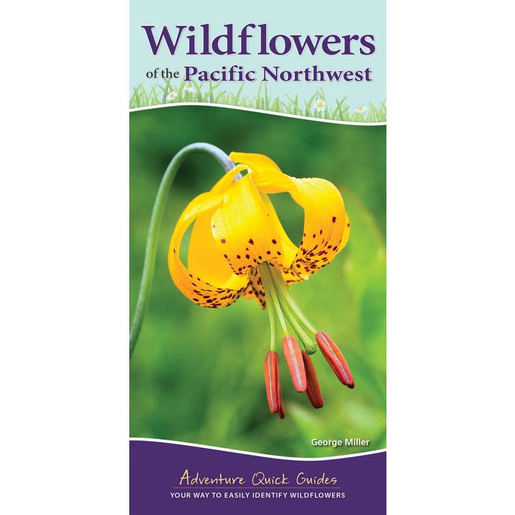 Wildflowers of the Pacific Northwest Book