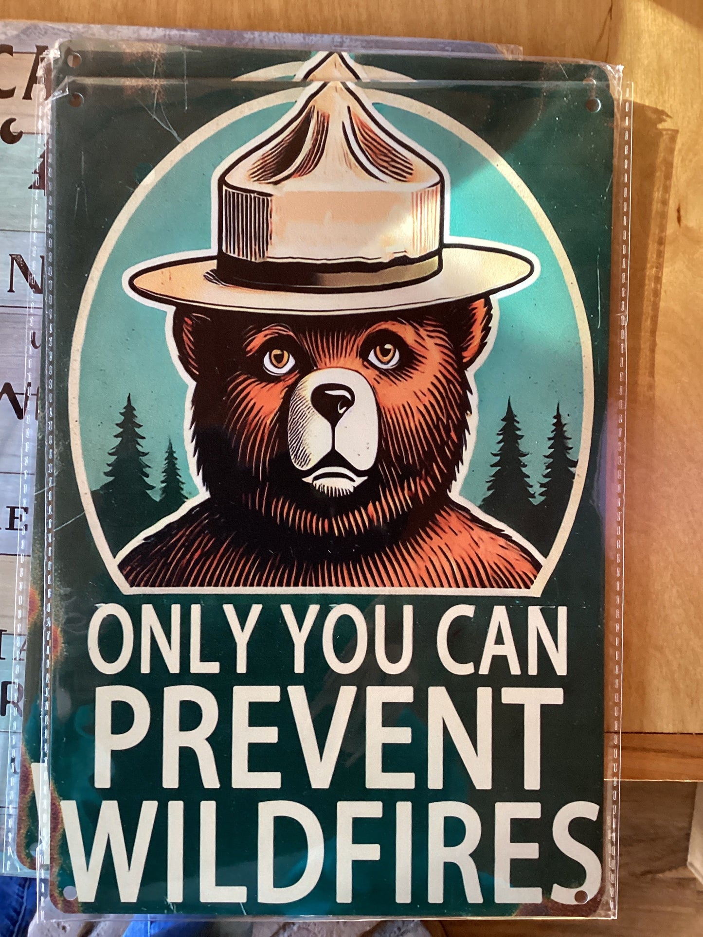 Only You Can Prevent Wildfires Smokey the Bear Metal Sign