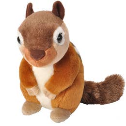 Stuffed Squirrel