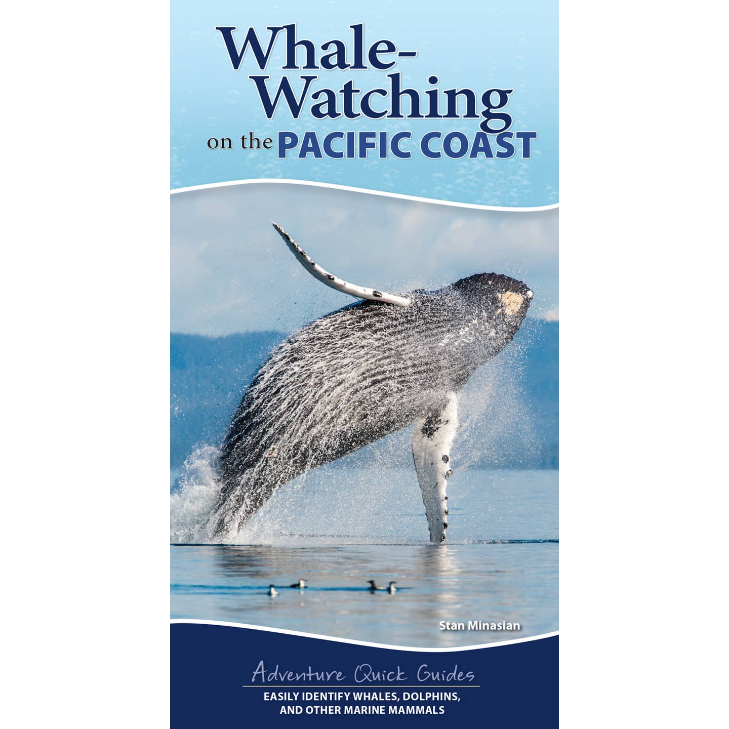 Whale Watching on the Pacific Coast Book